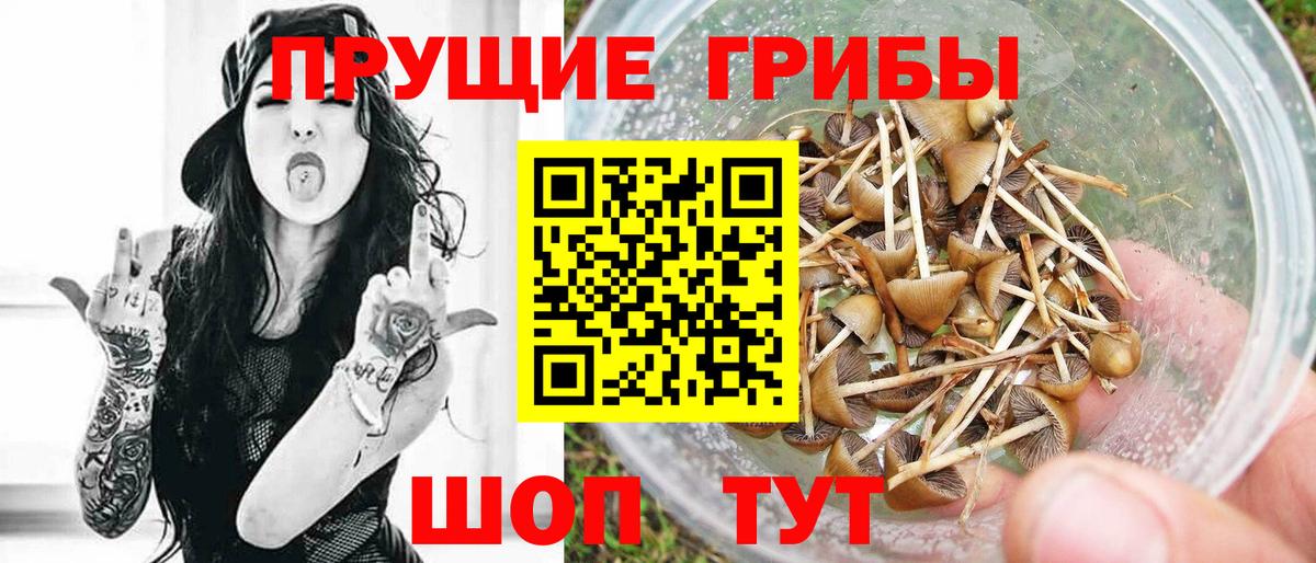 Псилоцибиновые грибы мицелий  Галлюциногенные грибы мицелий  Вход с VPN  Кимры 